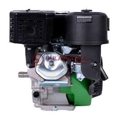 Бензиновый двигатель Gr&uuml;nwelt GW420E 20094 фото