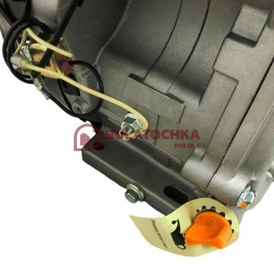 Petrol engine Weima WM188F 20092 photo