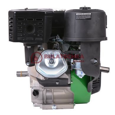 Бензиновый двигатель Gr&uuml;nwelt GW460E 20066 фото