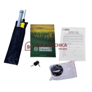 Бензиновый двигатель Gr&uuml;nwelt GW460E 20066 фото