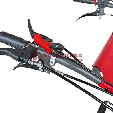 WM1100C-6 DIFF "Classic" two wheel tractor: An efficient tool for gardening work 10159 photo