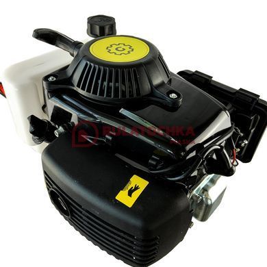 Лодочный двигатель Gr&uuml;nwelt GW-170FC 12019 фото